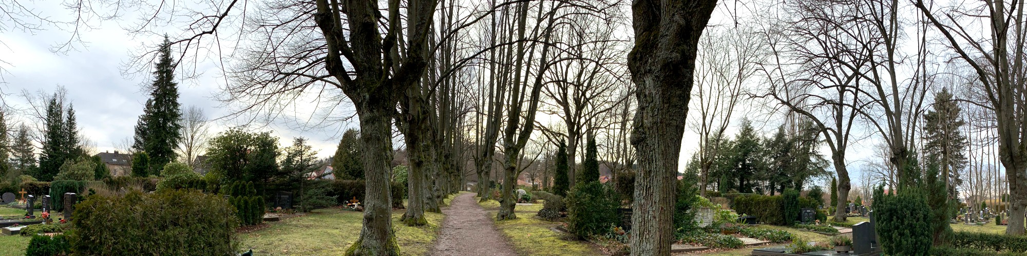 Andrea Kubowicz - Friedhofsführung in Ilmenau