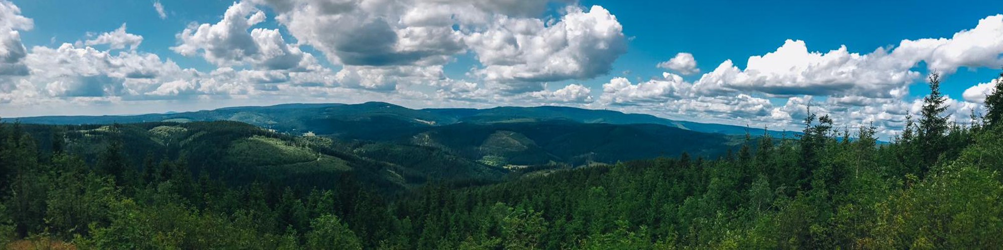 Andrea Kubowicz führt Sie durch den Thüringer Wald